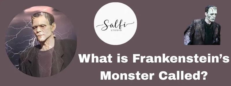 https://salfistudio.com/frankenstein-story-meaning-monster